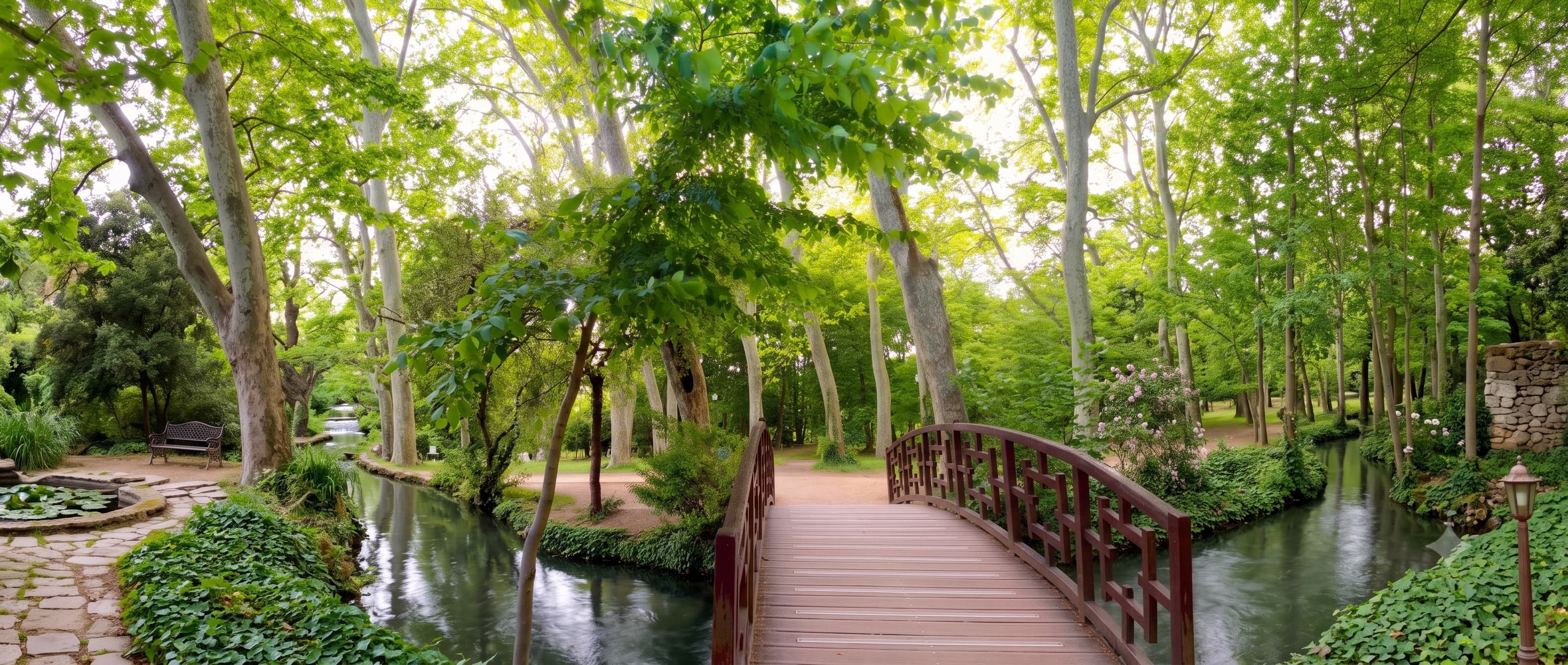 Pont en bois dans un parc arboré - Symbole de passage et de transition